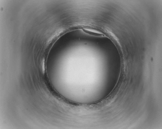 X0000087390020200705042022