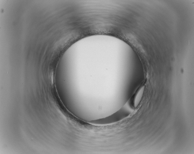 X0000087390021200705042022