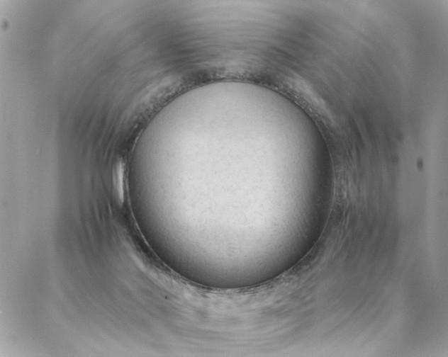 X0000087390022200705042022