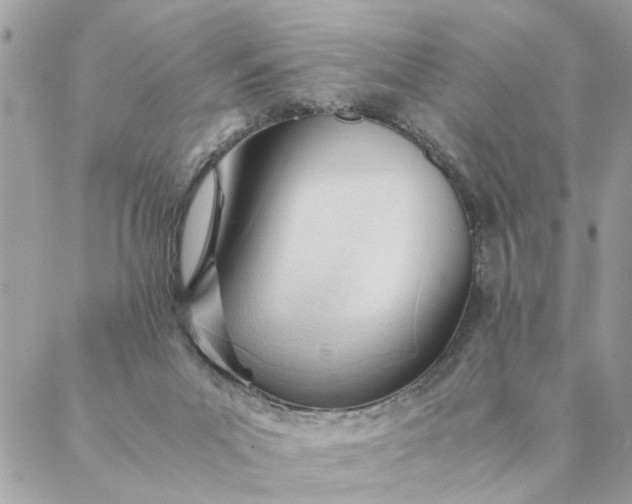 X0000087390023200705042022