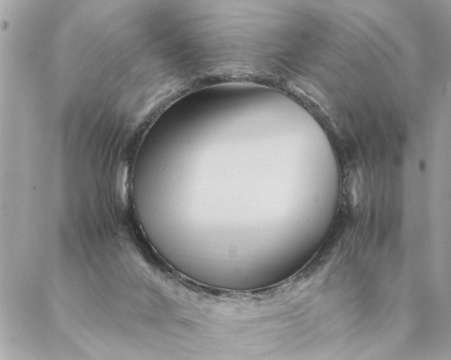 X0000087390024200705042022