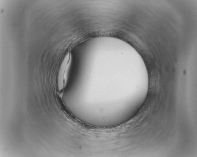 X0000087390025200705042022