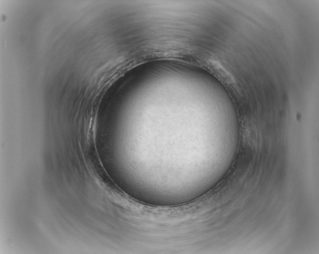 X0000087390026200705042022