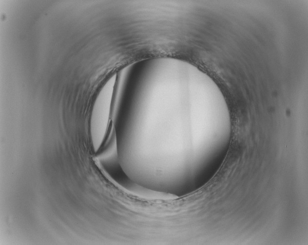 X0000087390027200705042021