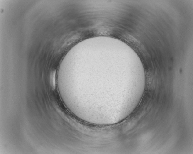 X0000087390028200705042021