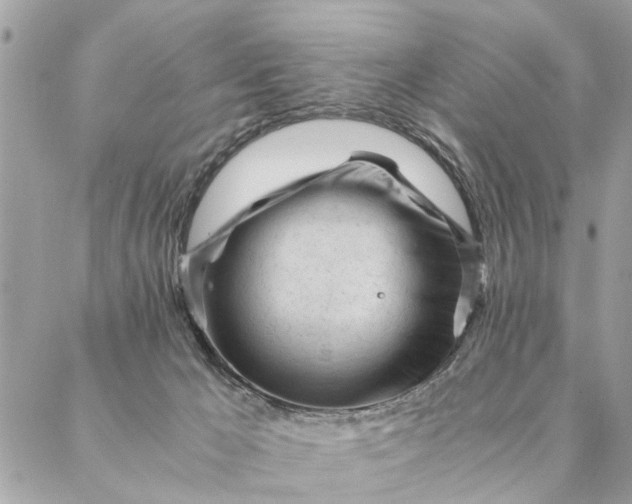 X0000087390029200705042021