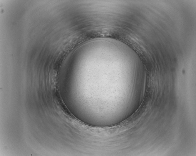 X0000087390030200705042021