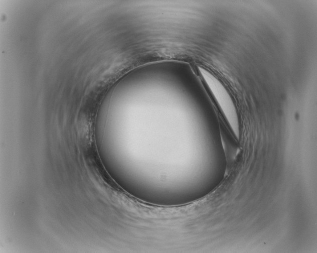 X0000087390031200705042021