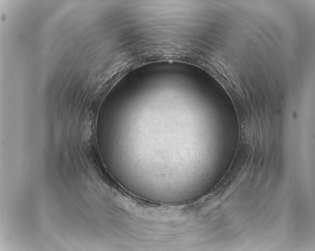 X0000087390032200705042021