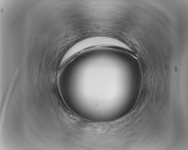 X0000087390033200705042021