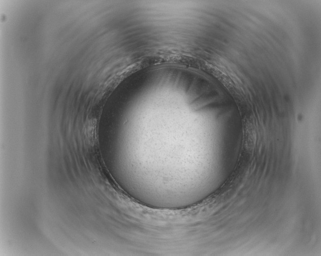 X0000087390034200705042021