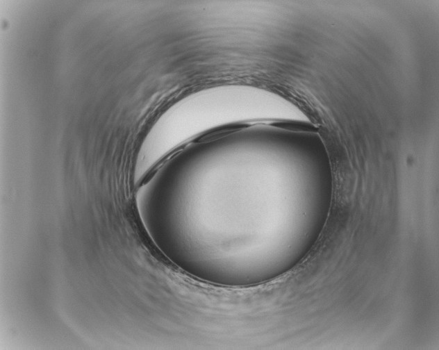 X0000087390035200705042021