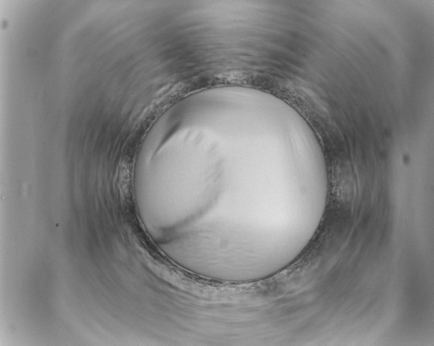 X0000087390036200705042021