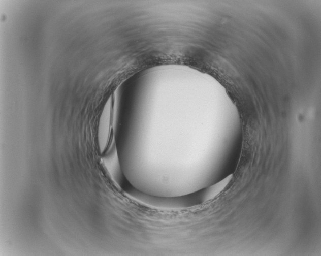 X0000087390037200705042021