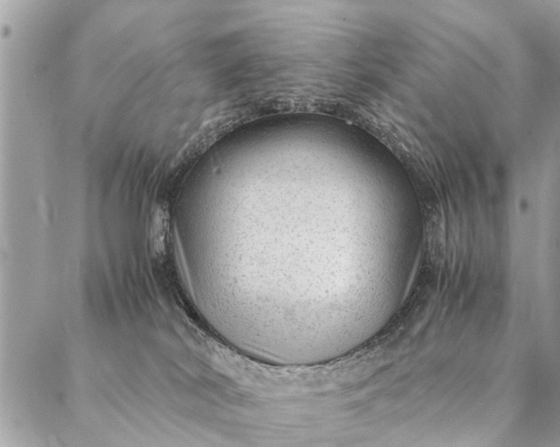 X0000087390038200705042021