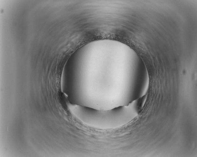 X0000087390039200705042021