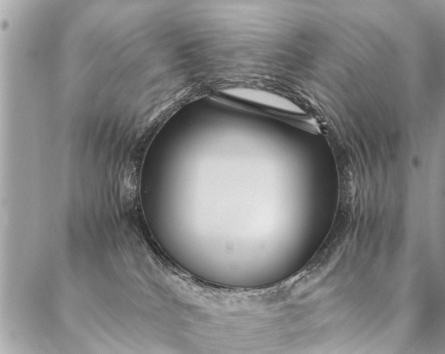 X0000087390040200705042021