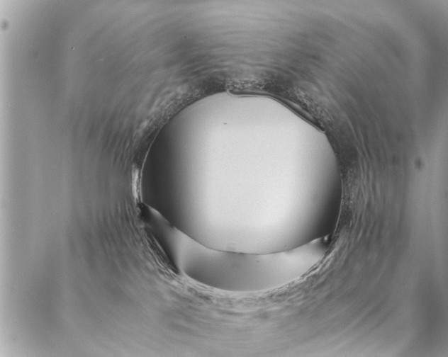 X0000087390041200705042021