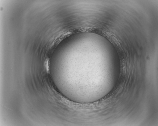 X0000087390042200705042021