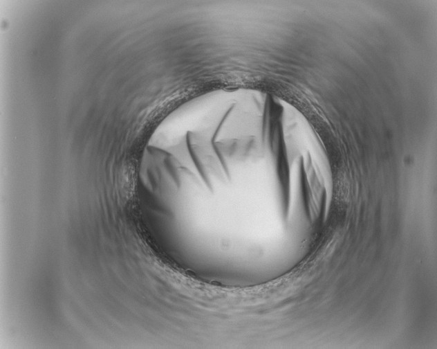 X0000087390043200705042021