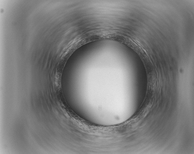 X0000087390044200705042021