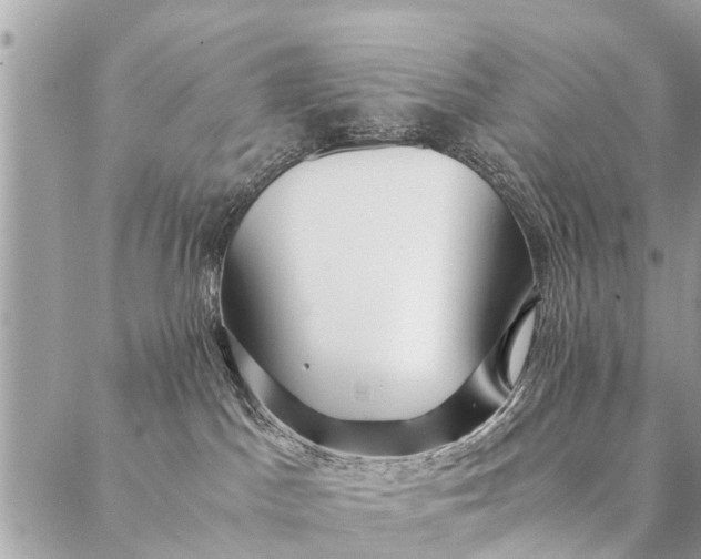 X0000087390045200705042021