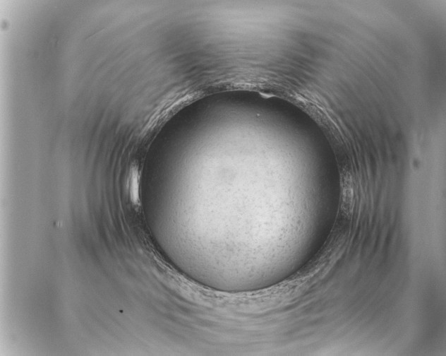 X0000087390046200705042021