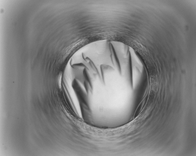 X0000087390047200705042021