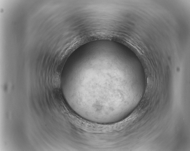 X0000087390048200705042021