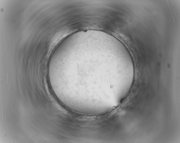 X0000087390049200705042020