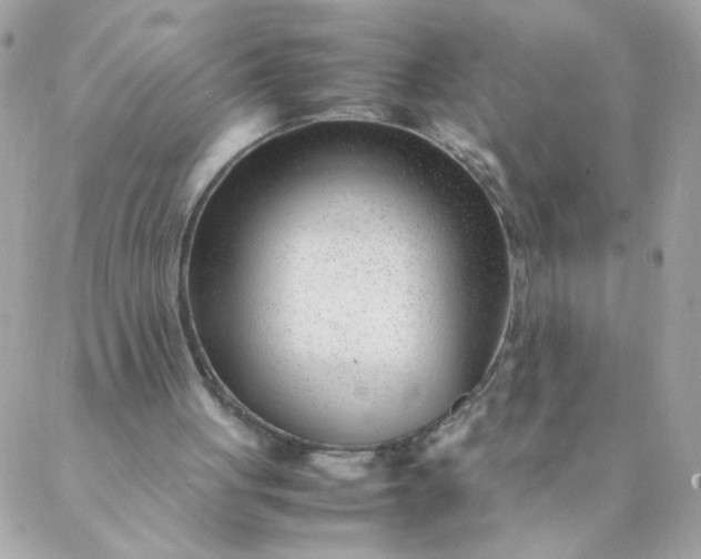 X0000087390051200705042020