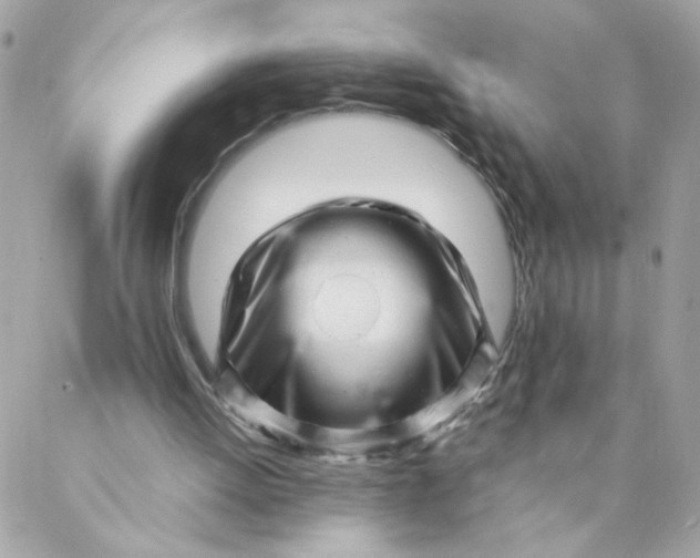 X0000087390052200705042020