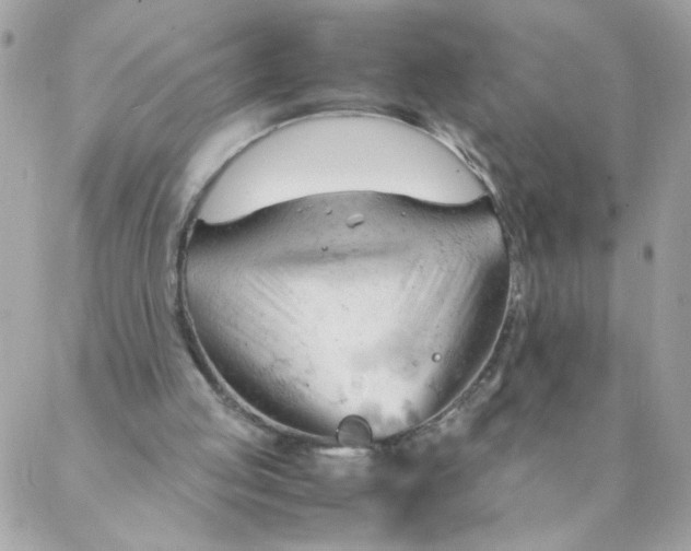 X0000087390053200705042020