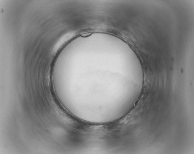 X0000087390054200705042020