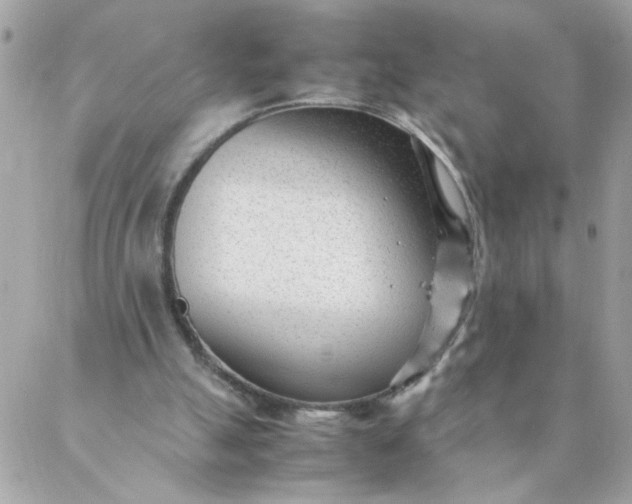 X0000087390055200705042020