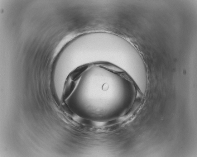 X0000087390056200705042020