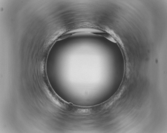 X0000087390057200705042021