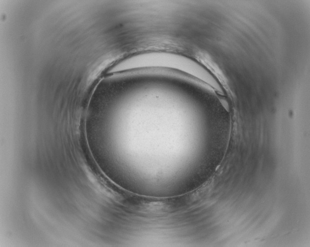 X0000087390058200705042021