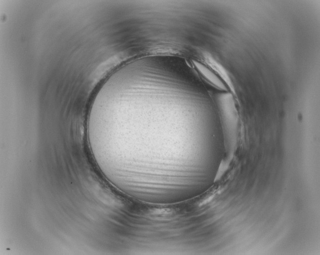 X0000087390059200705042021