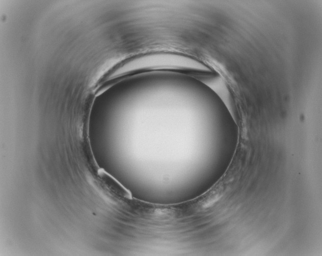 X0000087390060200705042021