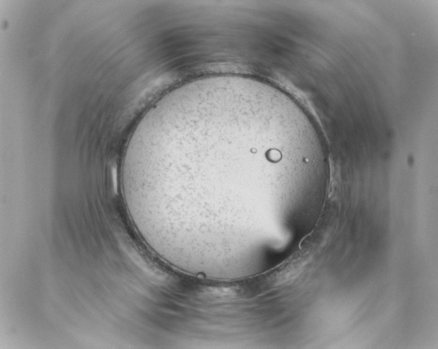 X0000087390061200705042021