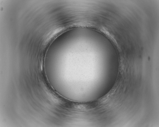 X0000087390062200705042021