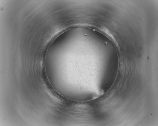 X0000087390063200705042021