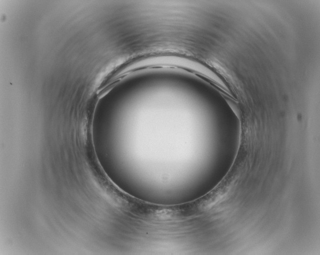 X0000087390064200705042021