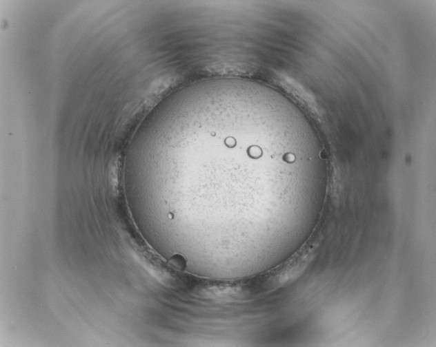 X0000087390065200705042021