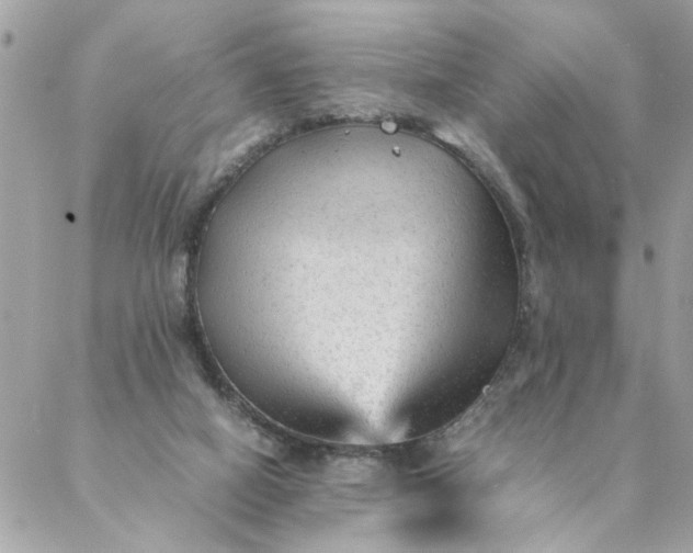 X0000087390066200705042021