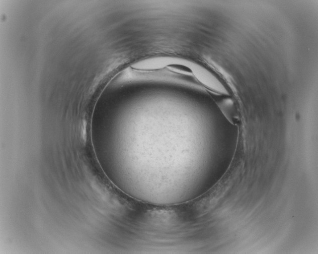 X0000087390067200705042021