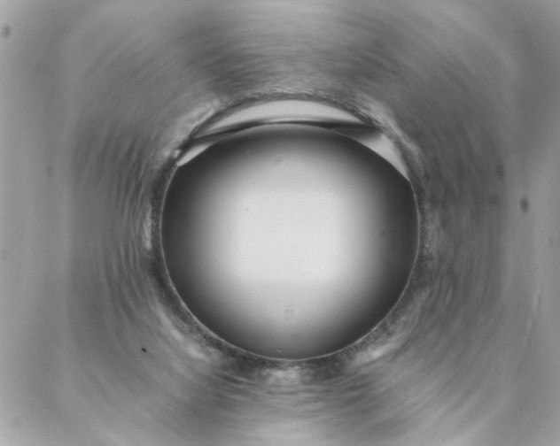 X0000087390068200705042021