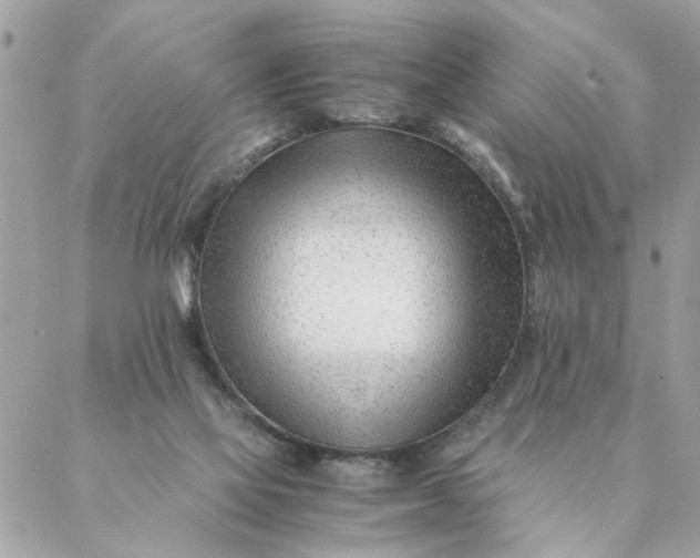 X0000087390069200705042021