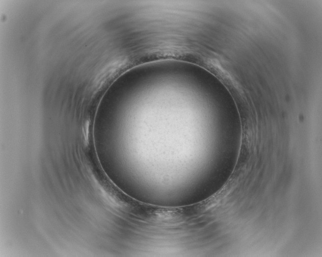 X0000087390070200705042021